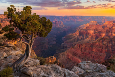 Grand Canyon